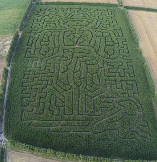 Maize Maze & Pick Your Own! Stanhill Farm